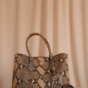 Prada Bicolor Python Cuir Medium Double Tote Bag