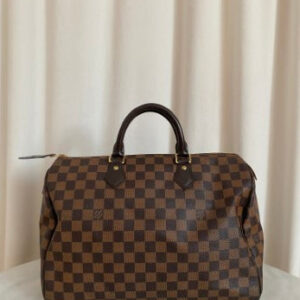 Louis Vuitton Damier Ebene Speedy 30 Bag