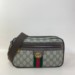 Gucci Bicolor GG Ophidia Belt Bag