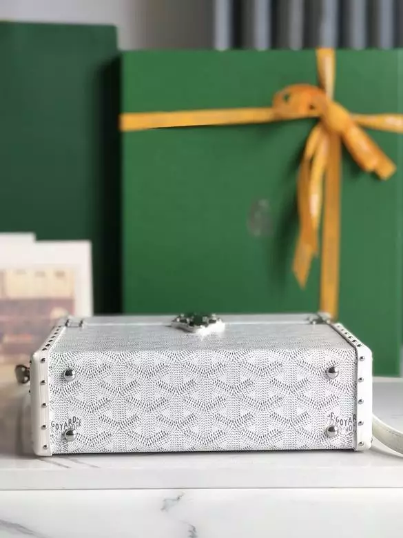 Goyard Cassette Trunk Bag - Repbags.ru - Image 9