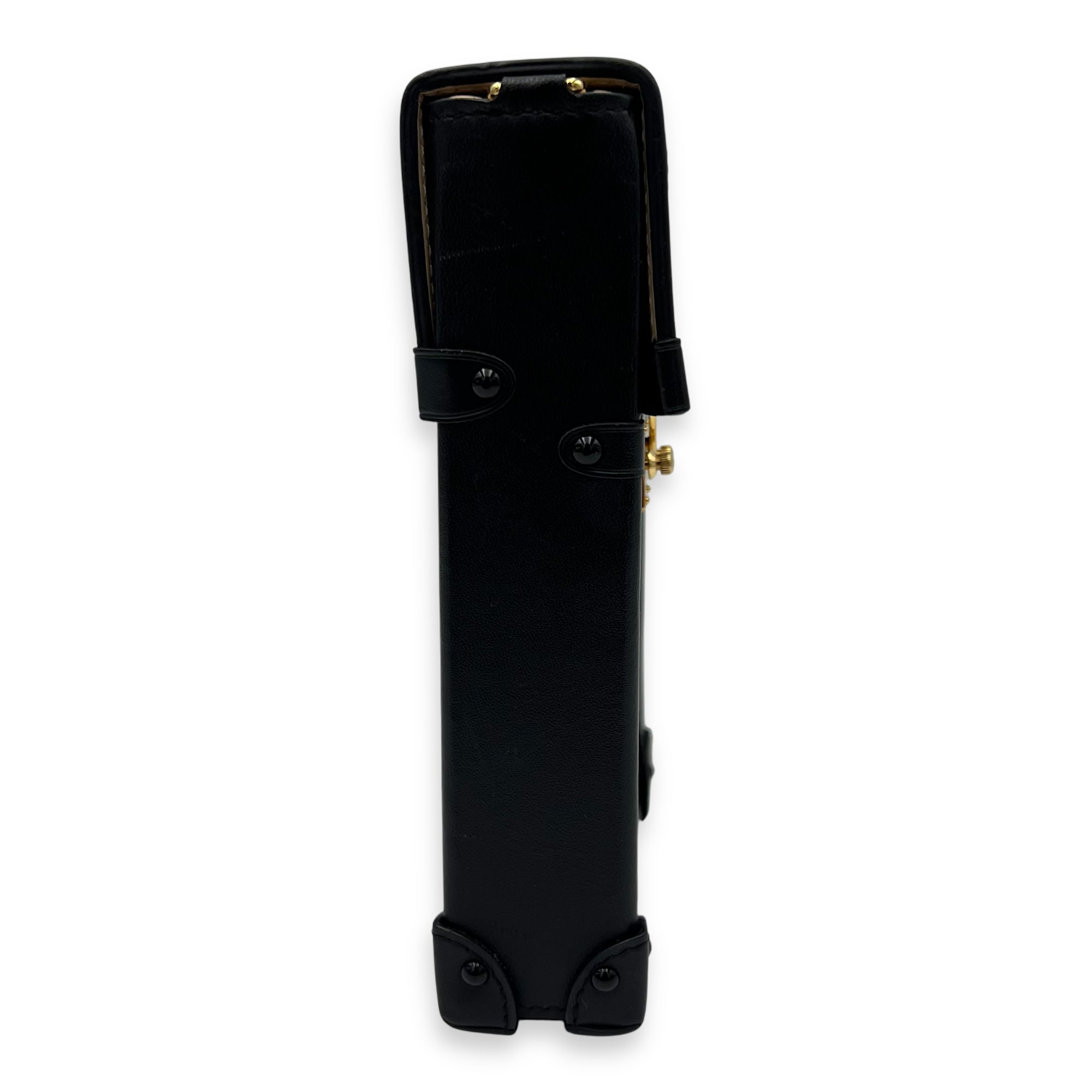 Trunk Vertical Brown Crossbody Bag in Monogram Coated Canvas, Gold hardware - Image 5