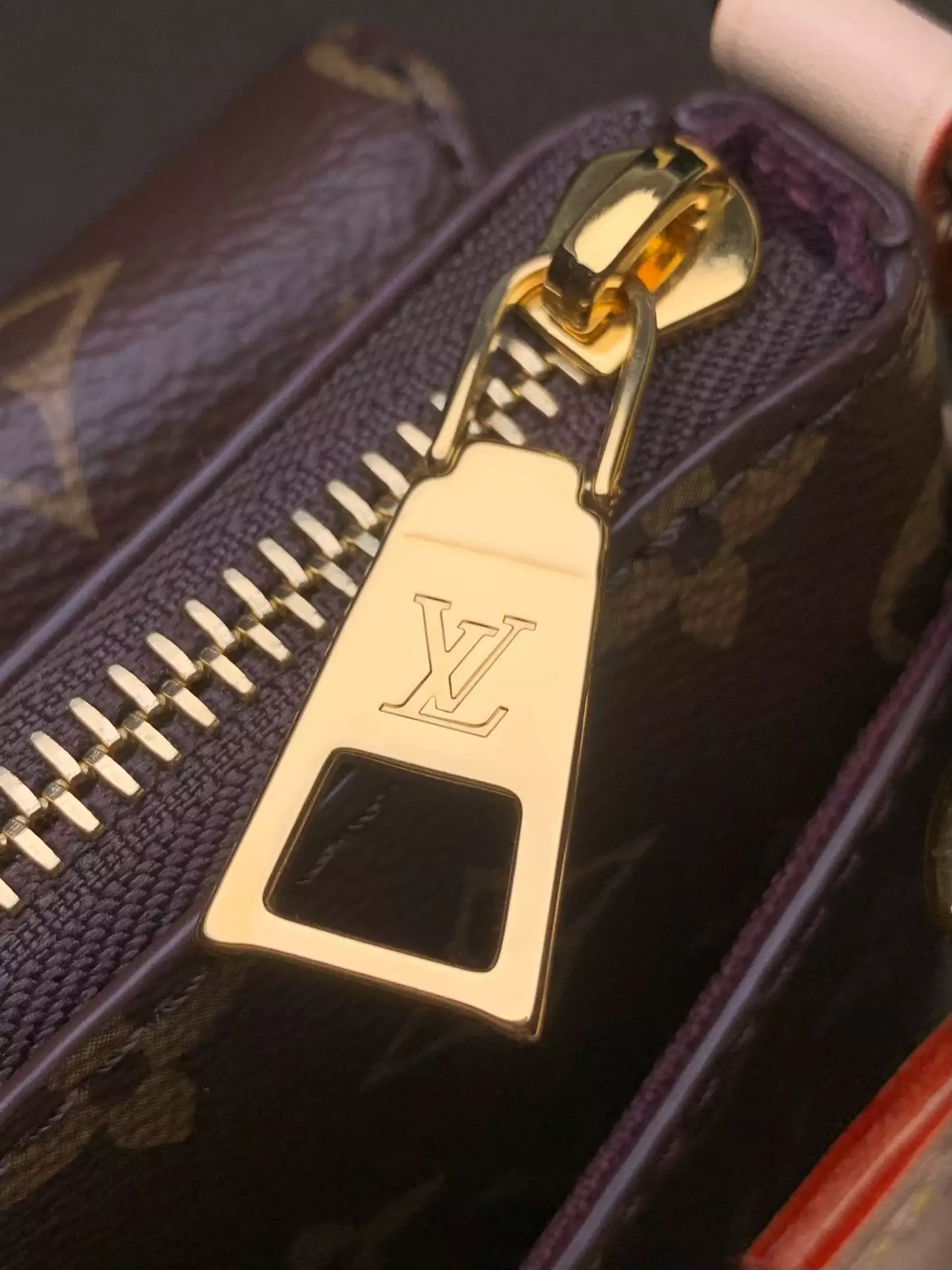 Vibe Monogram Coated Canvas - Repbags.ru - Image 9