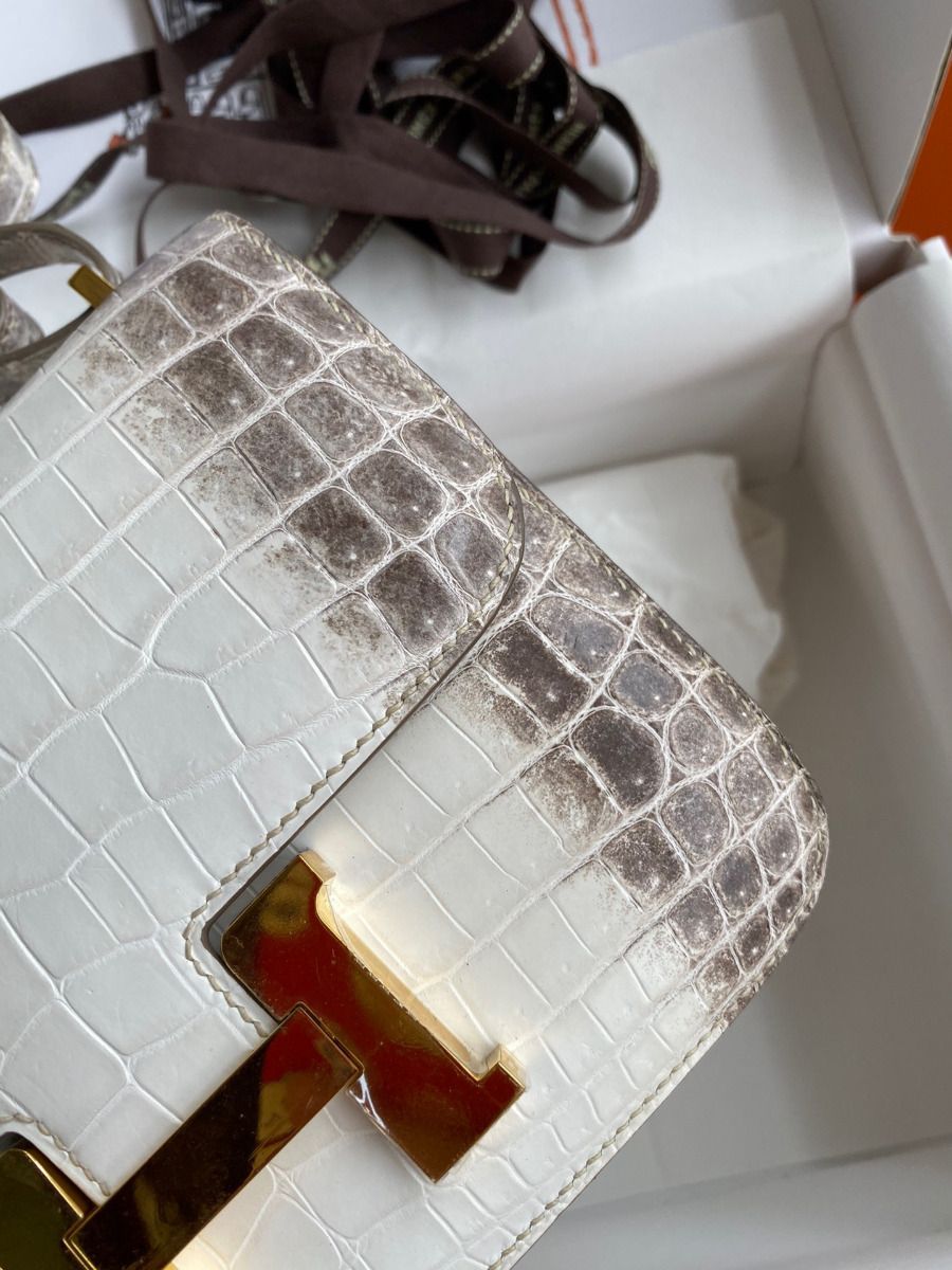 Hermes Constance 18 Handmade Bag In Himalaya Crocodile Niloticus Skin - Image 4