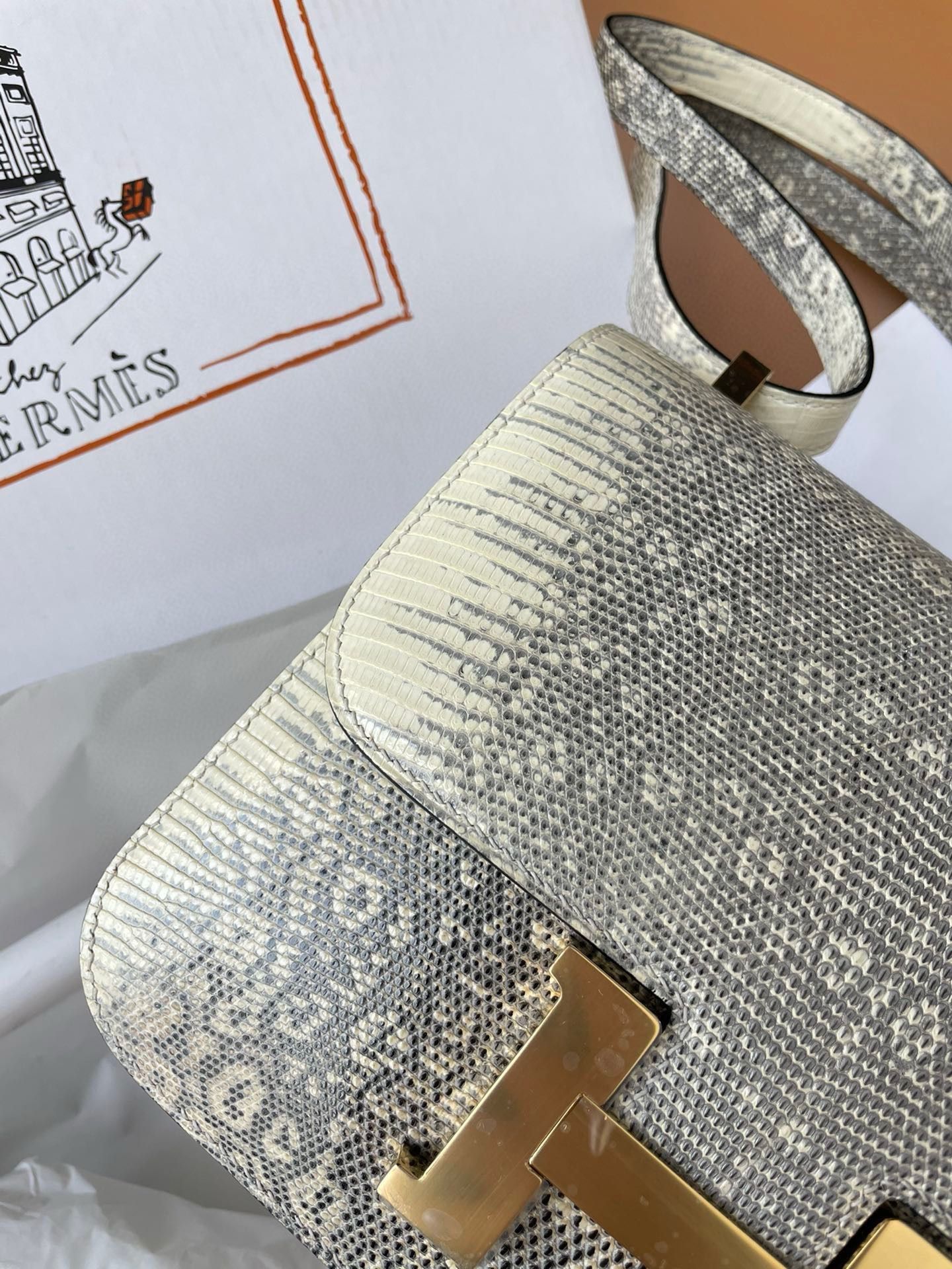 Hermes Constance 24 Handmade Bag in Ombre Natural Lizard Skin - Image 3