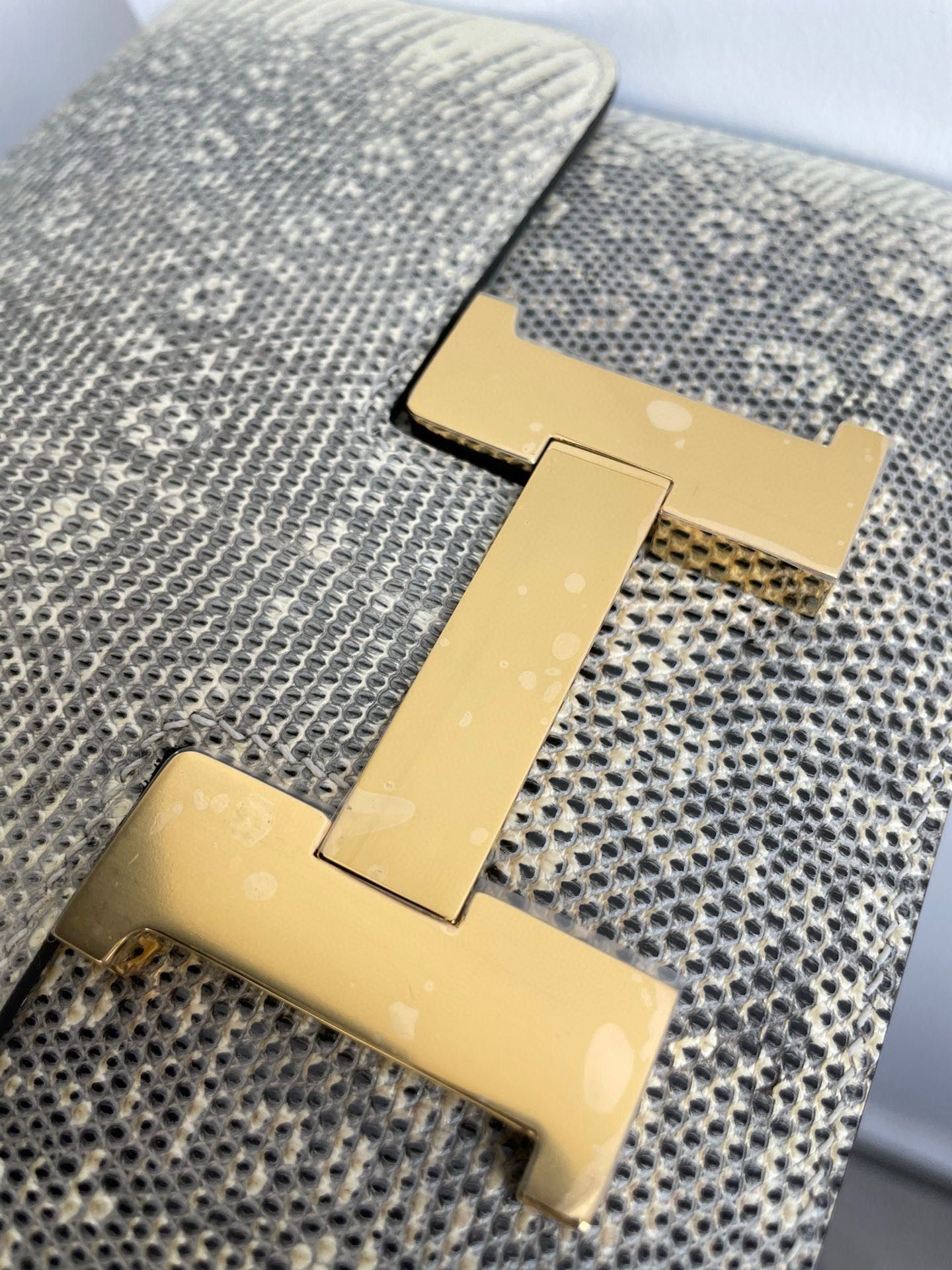 Hermes Constance 24 Handmade Bag in Ombre Natural Lizard Skin - Image 5