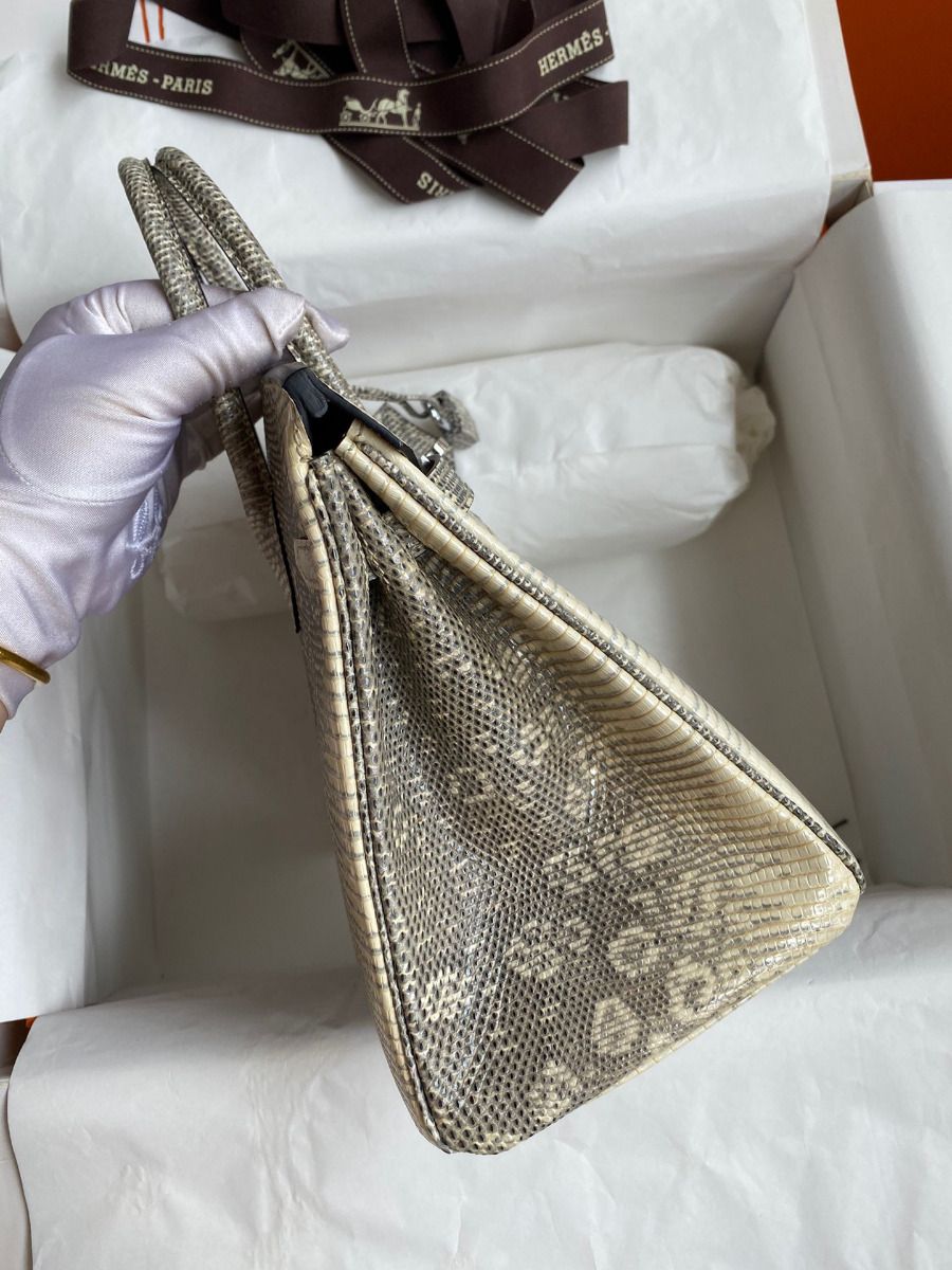 Hermes Birkin 25 Retourne Handmade Bag In Ombre Lizard Leather - Image 6