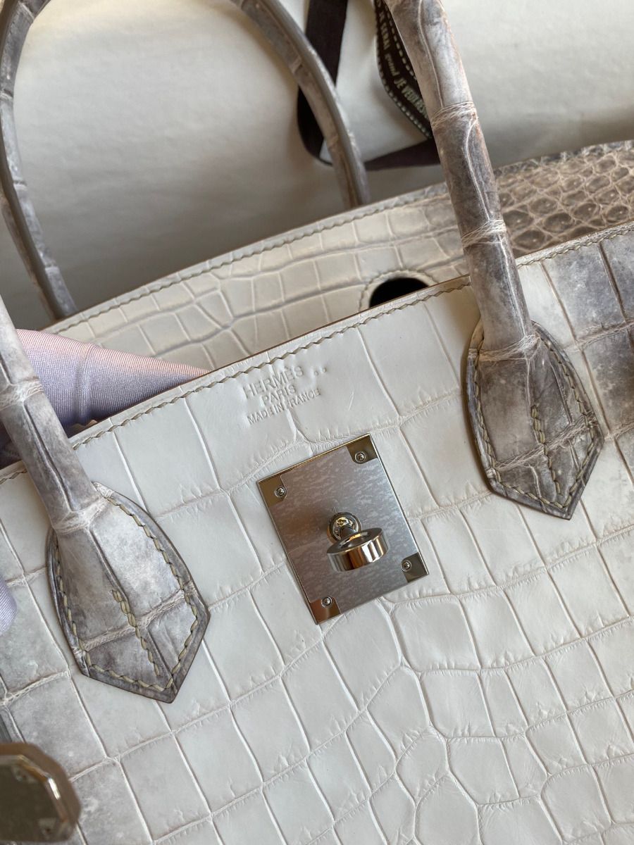 Hermes Birkin 25 Retourne Bag In Himalaya Niloticus Crocodile Skin - Image 7