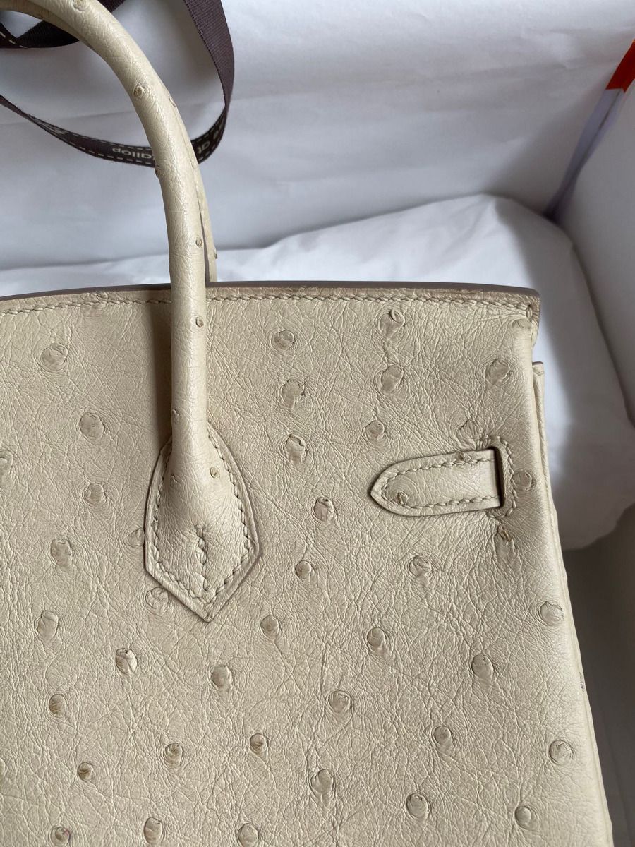 Hermes Birkin 25 Retourne Handmade Bag In Parchemin Ostrich Leather - Image 5