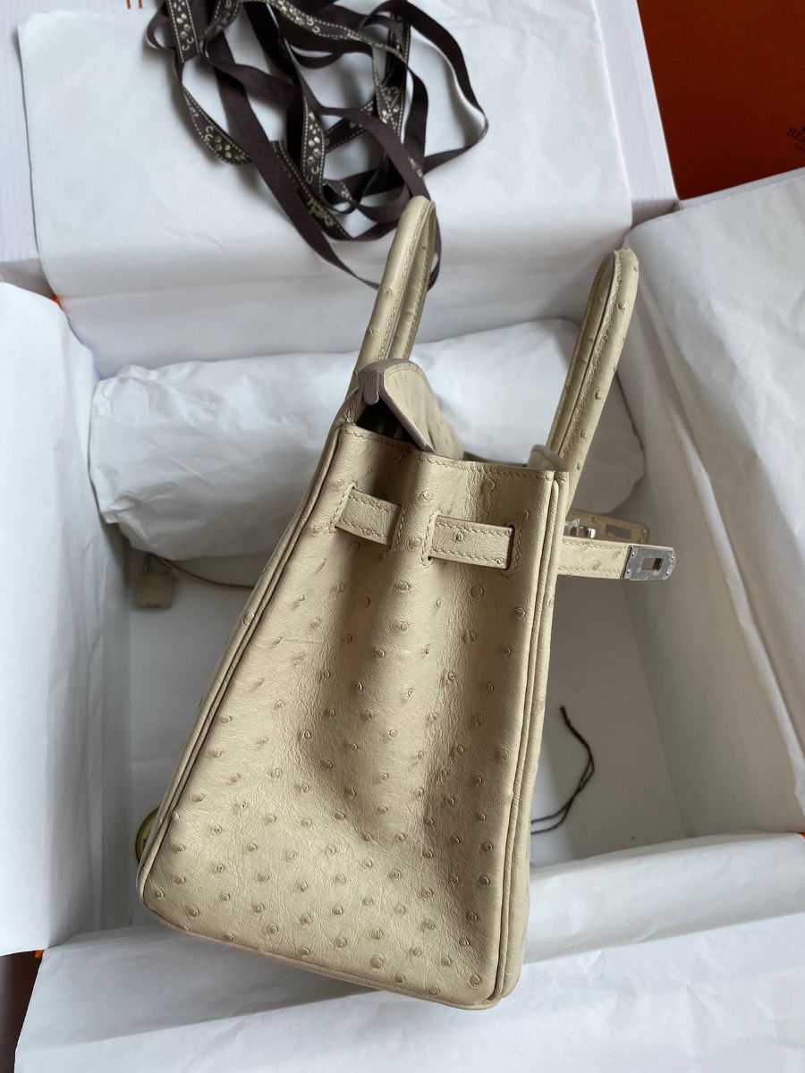 Hermes Birkin 25 Retourne Handmade Bag In Parchemin Ostrich Leather - Image 6