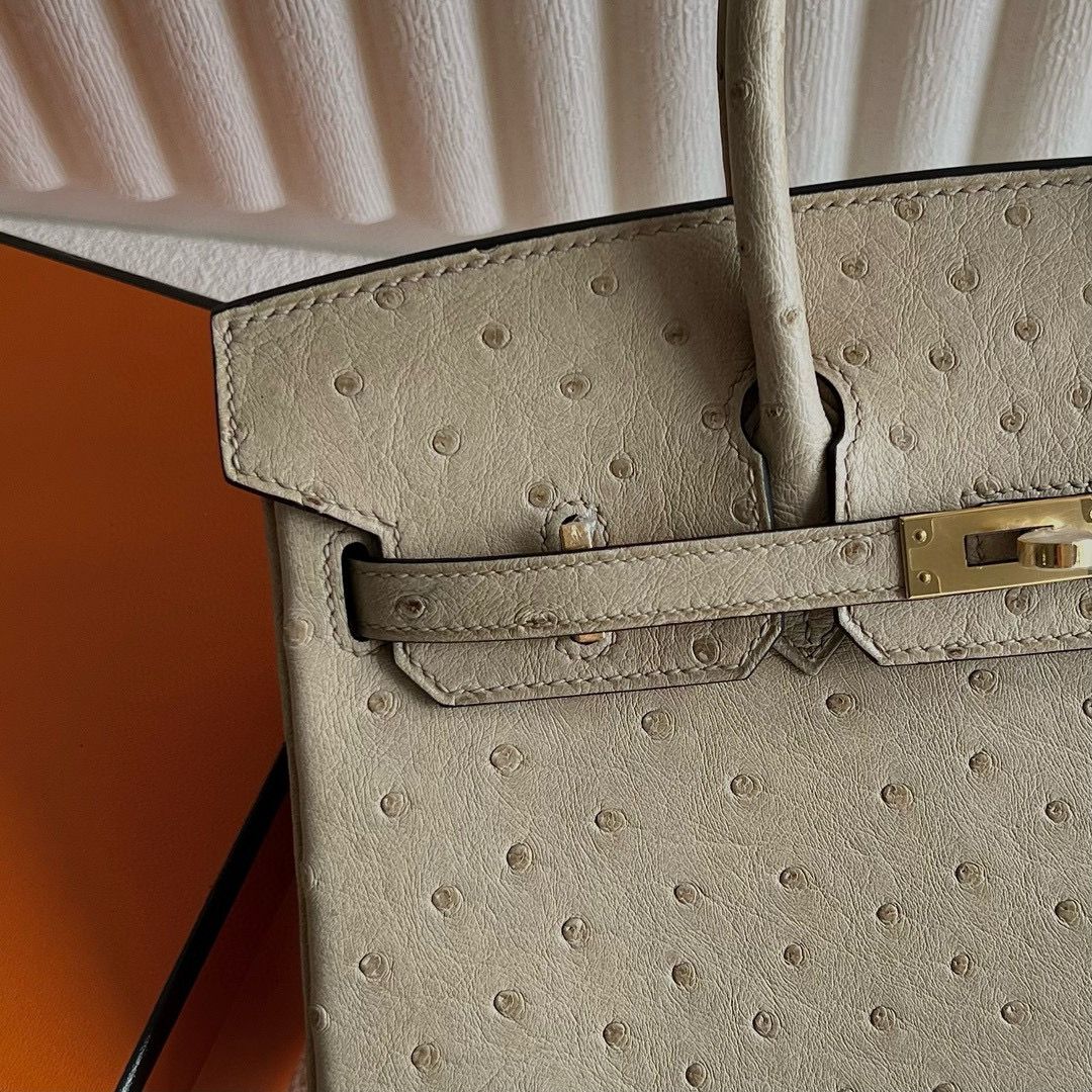 Hermes Birkin 25 Retourne Handmade Bag In Trench Ostrich Leather - Image 3