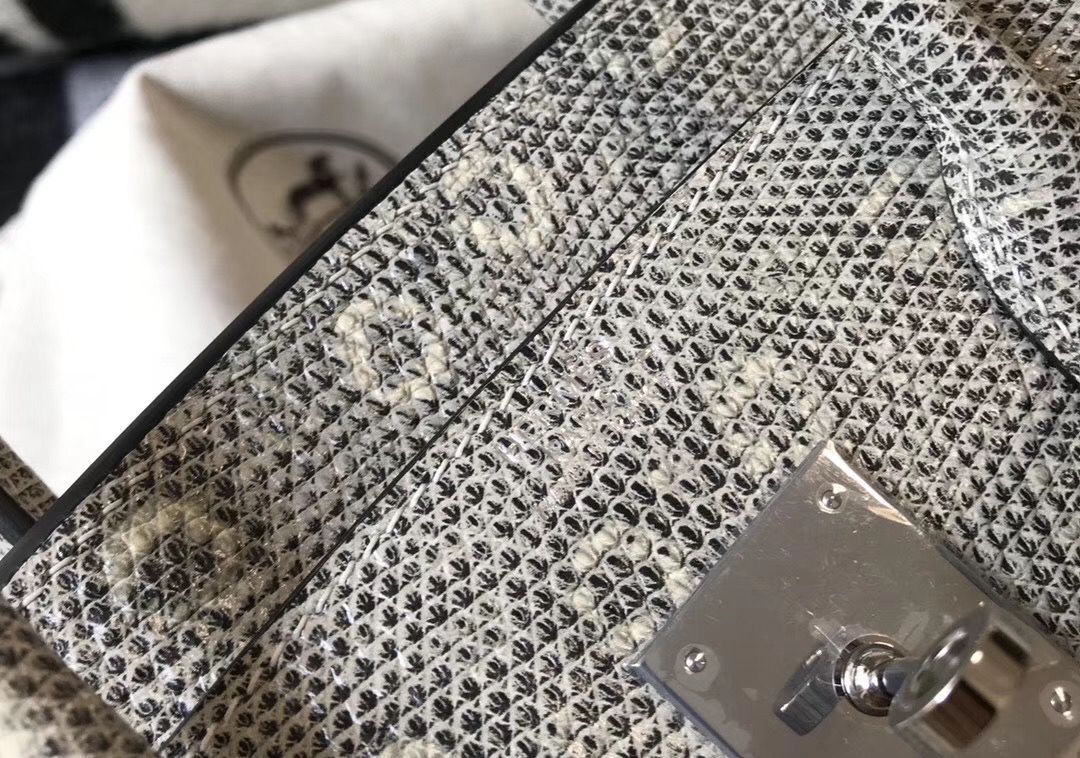 Hermes Birkin 30cm Bag In Ombre Embossed Natural Lizard - Image 7