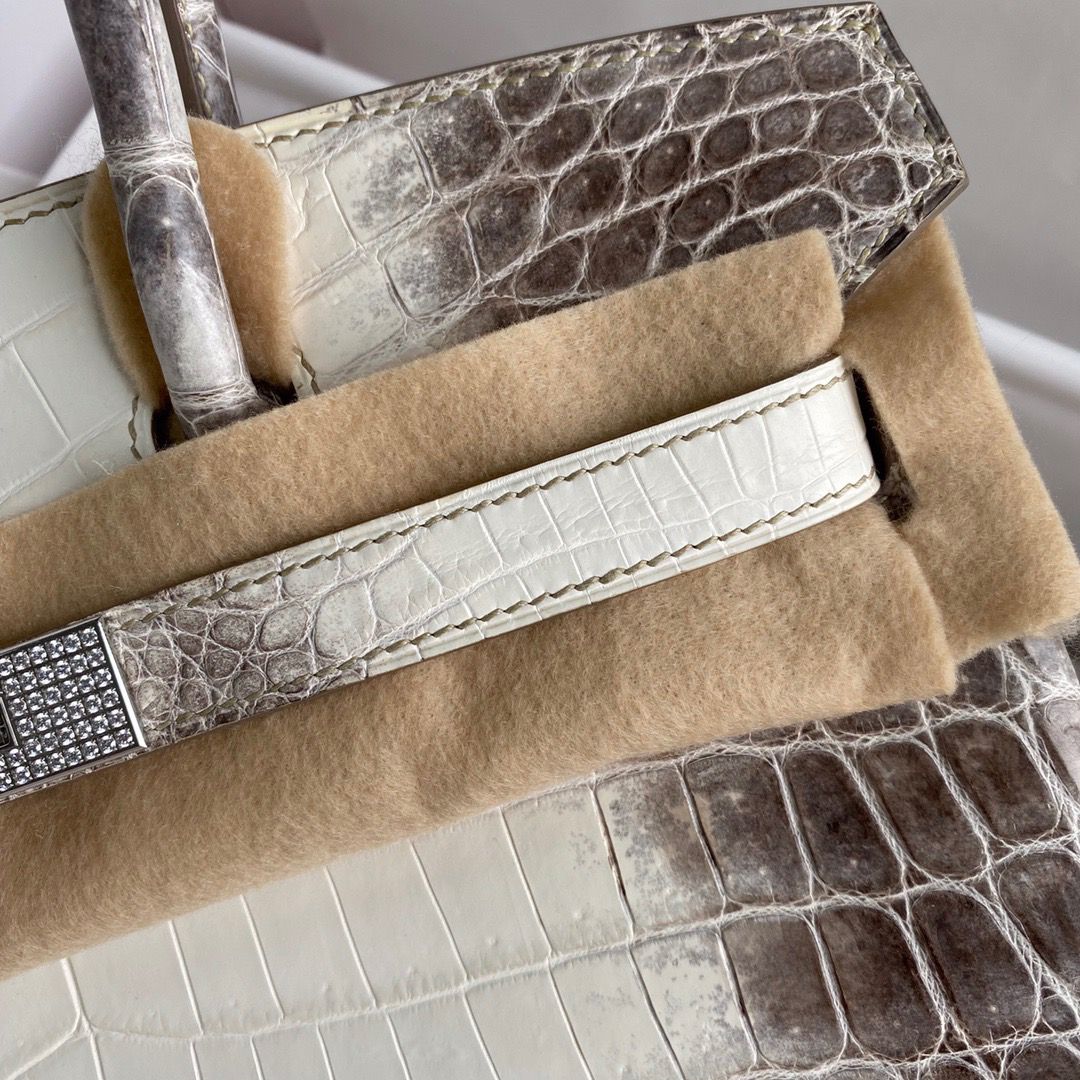 Hermes Diamond Birkin 30cm Bag In Himalaya Niloticus Crocodile Skin - Image 4