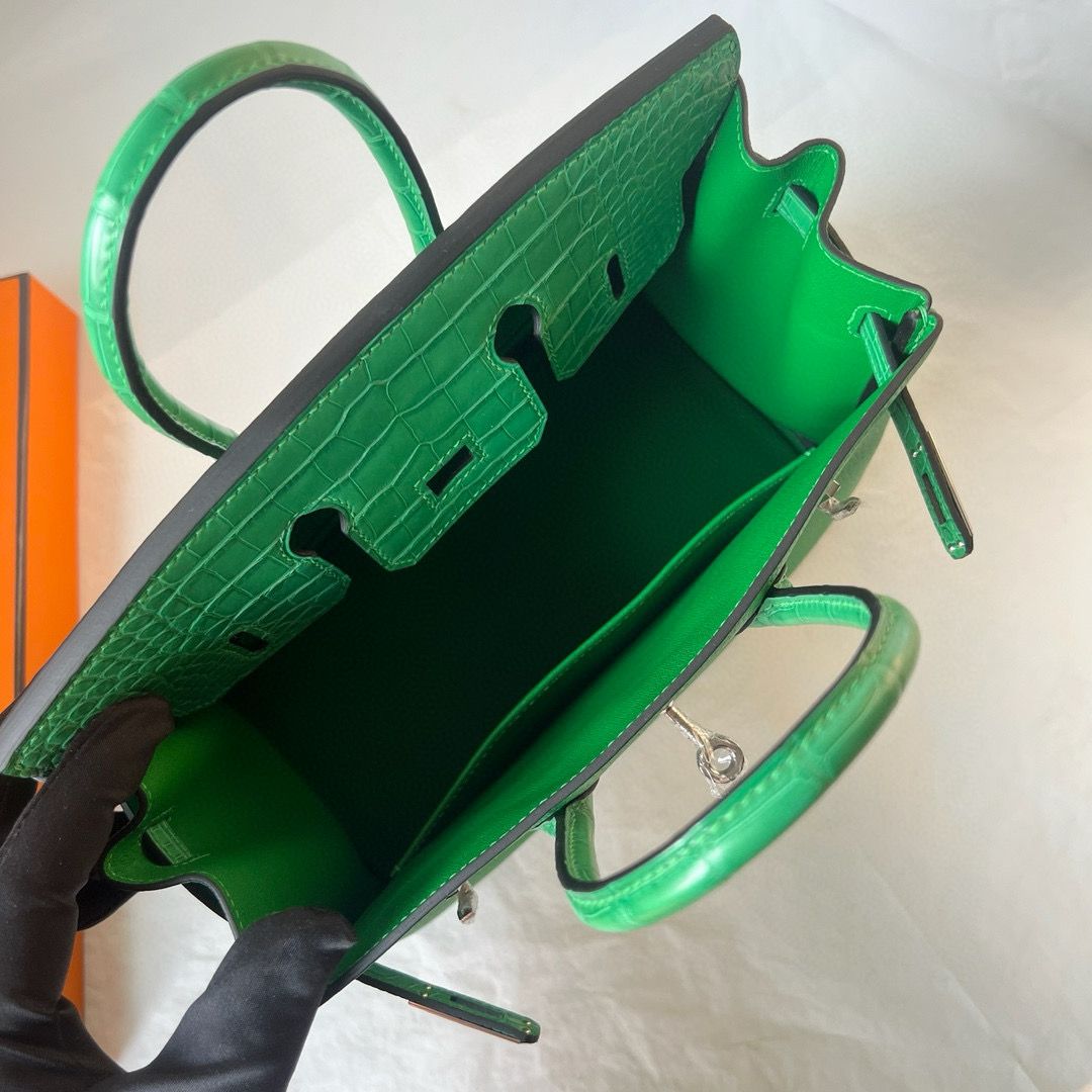 Hermes Touch Birkin 25 Bag in Bambou Clemence and Shiny Alligator Leather - Image 5