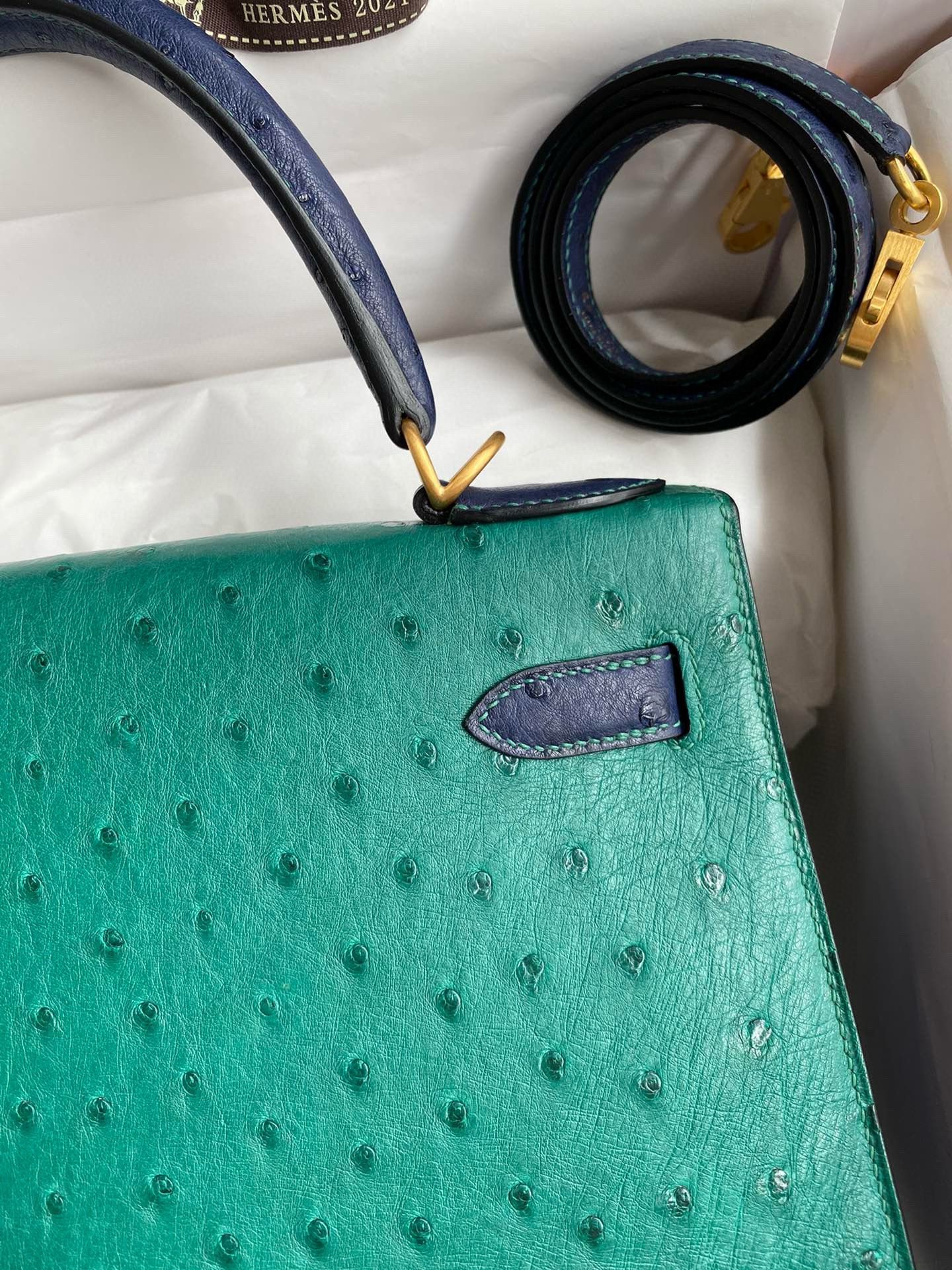 Hermes HSS Kelly 28 Bicolor Bag in Vert Vertigo and Blue Iris Ostrich Leather - Image 5